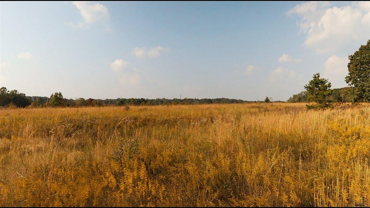 Eno Climate Champions 4.0: Tree-Planting Workday (October Session)