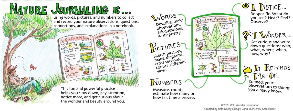 Vegetable Dissection! - Nature Journal Club