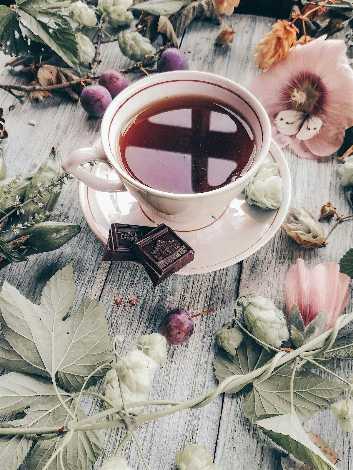 The Sacred Pause | Miami Cacao Love Tour