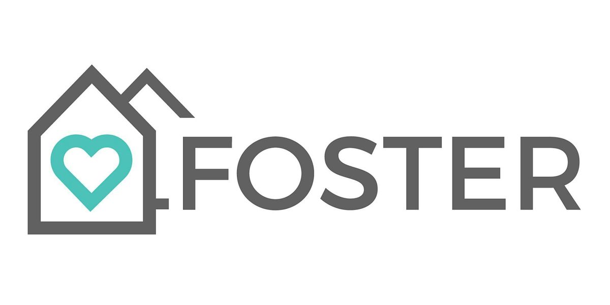 Foster Parent Info Session - November