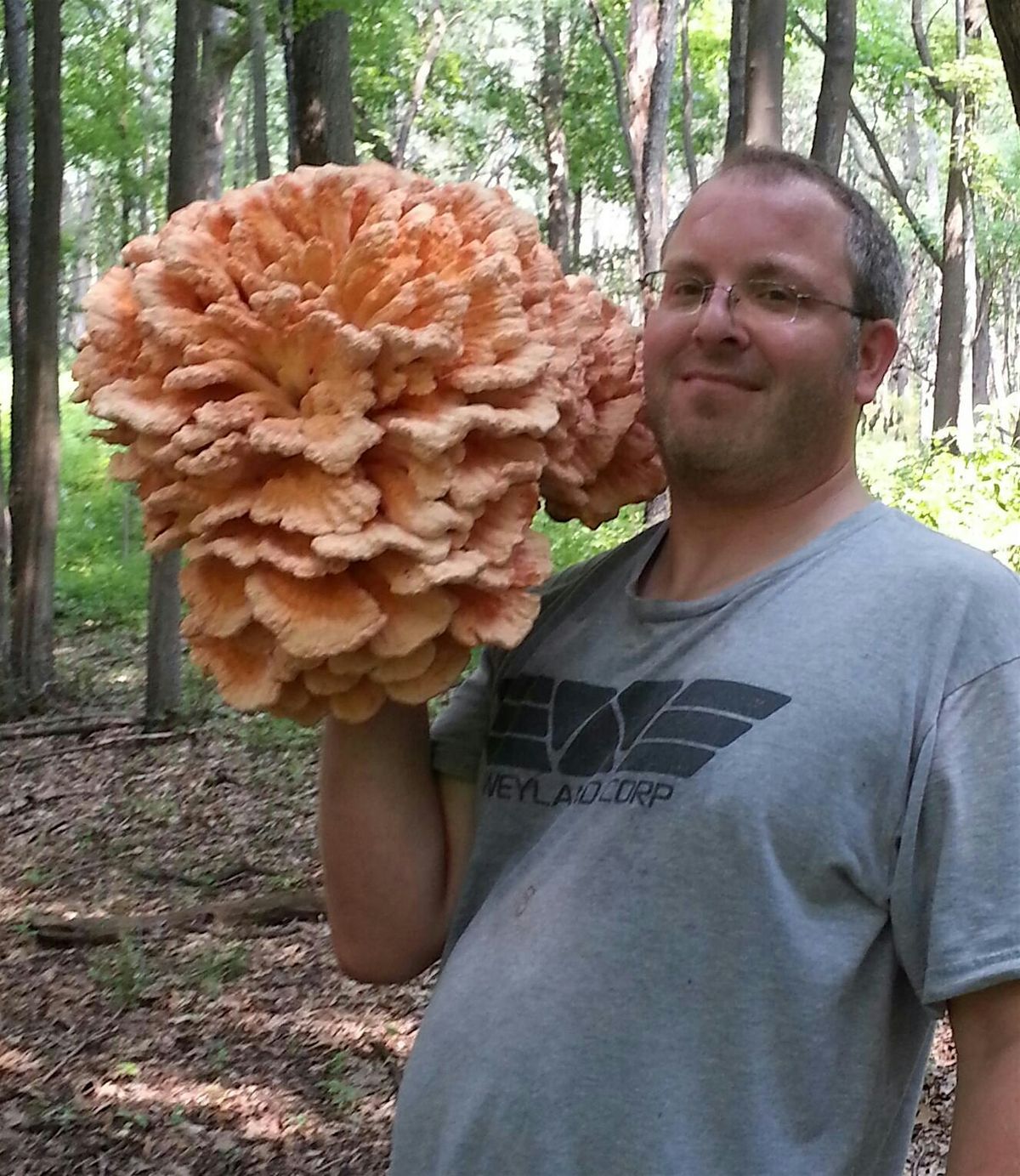 Eat the Neighborhood Mushroom Foraging Walk & Lunch: Carnivore Oak Park