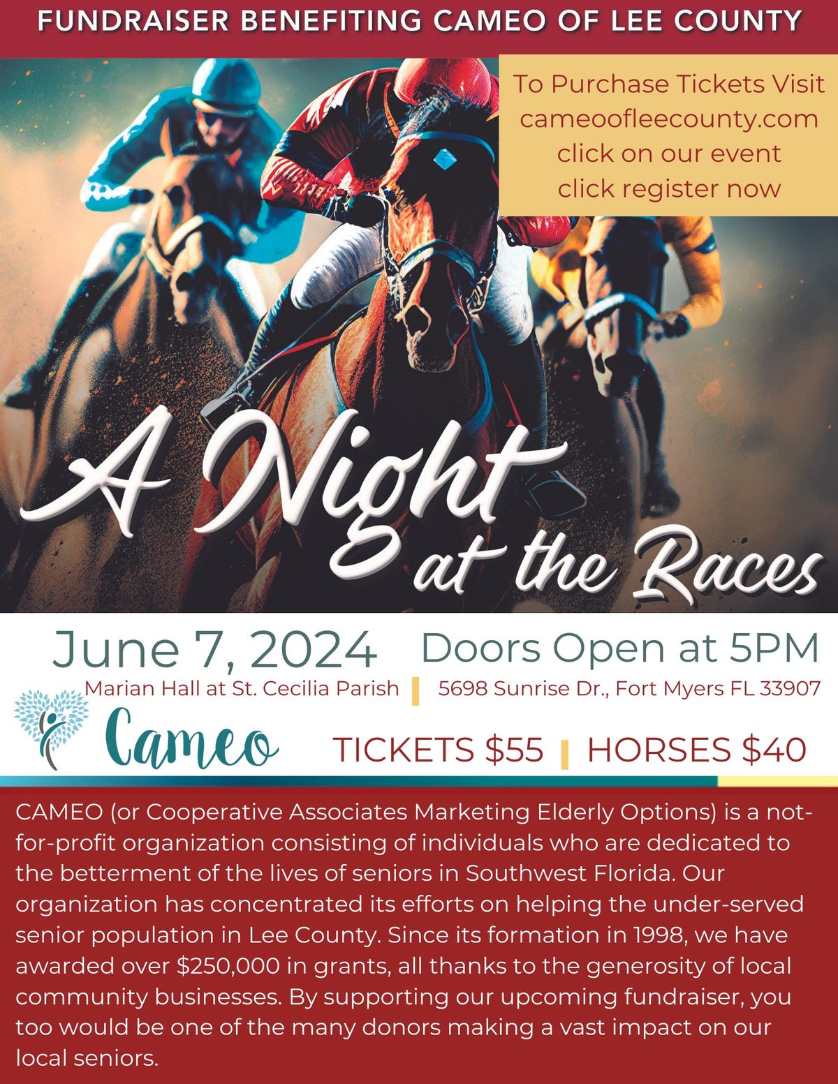 A Night at The Races