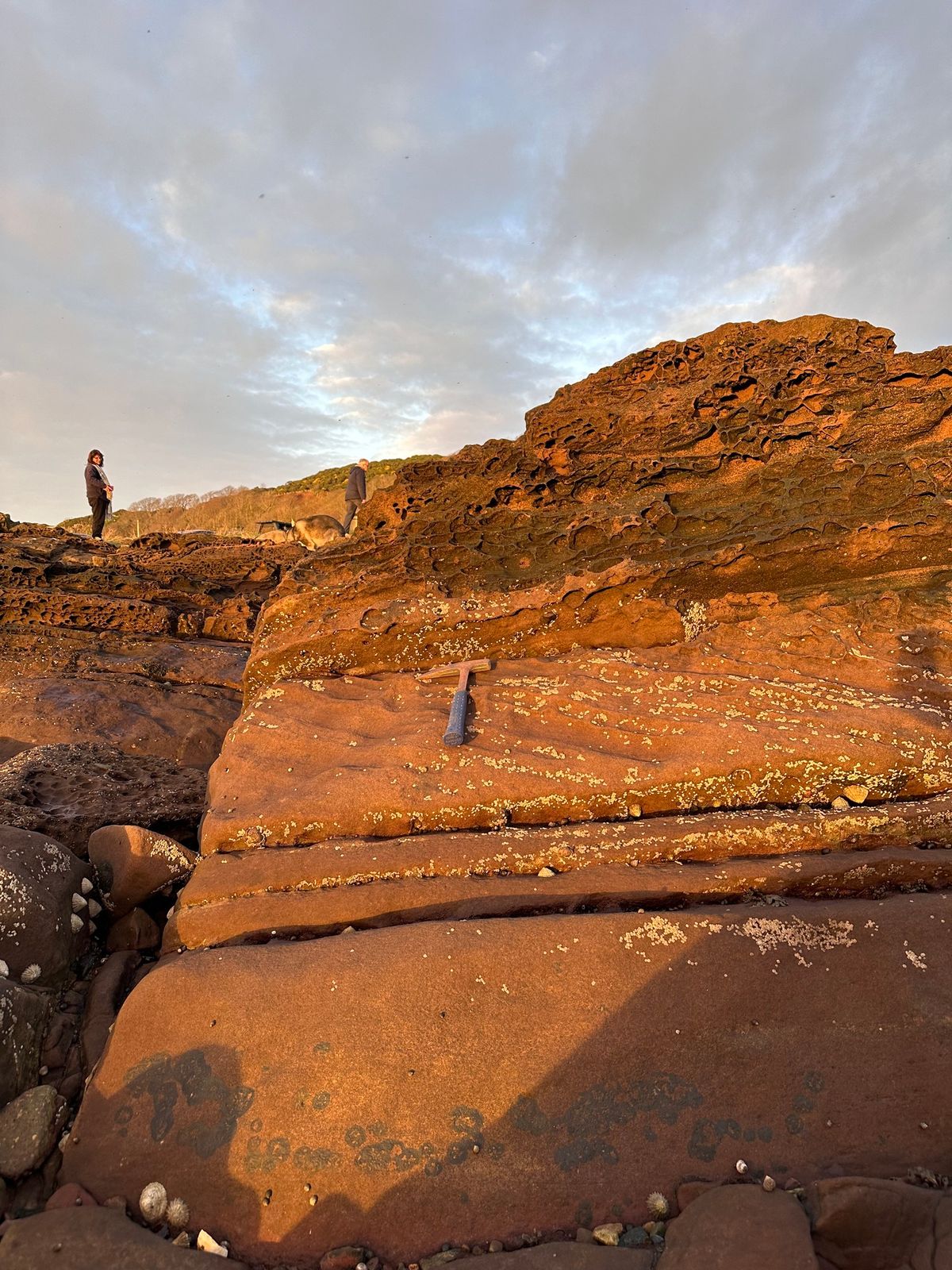 The geology of Portencross 