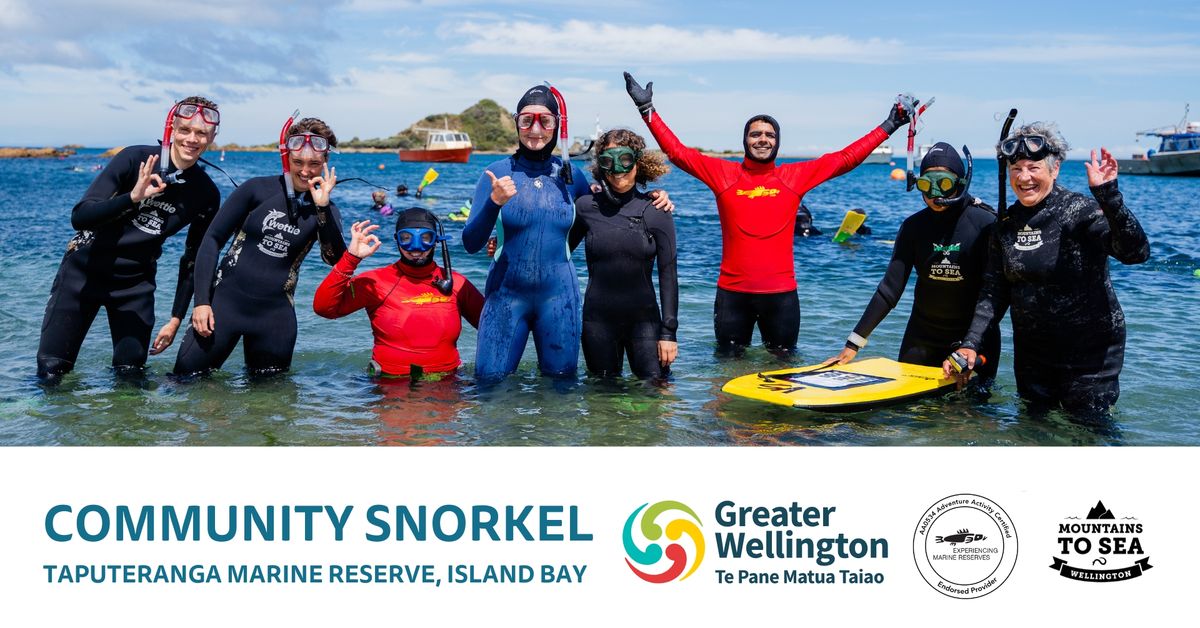 Community Snorkel: Taputeranga Marine Reserve