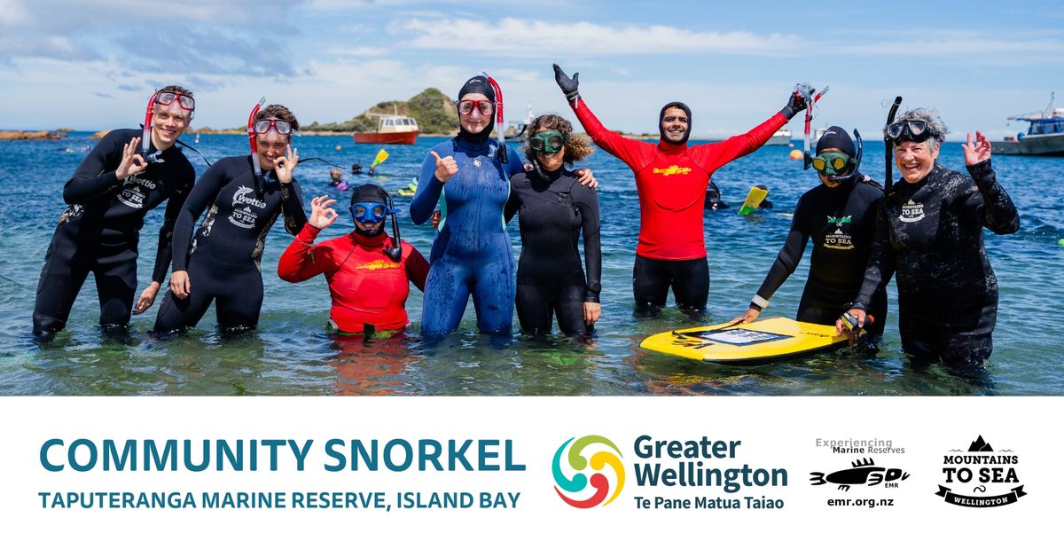 Community Snorkel: Taputeranga Marine Reserve