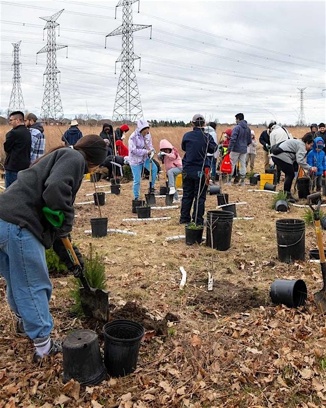 Community Tree Planting Event at Langstaff Park