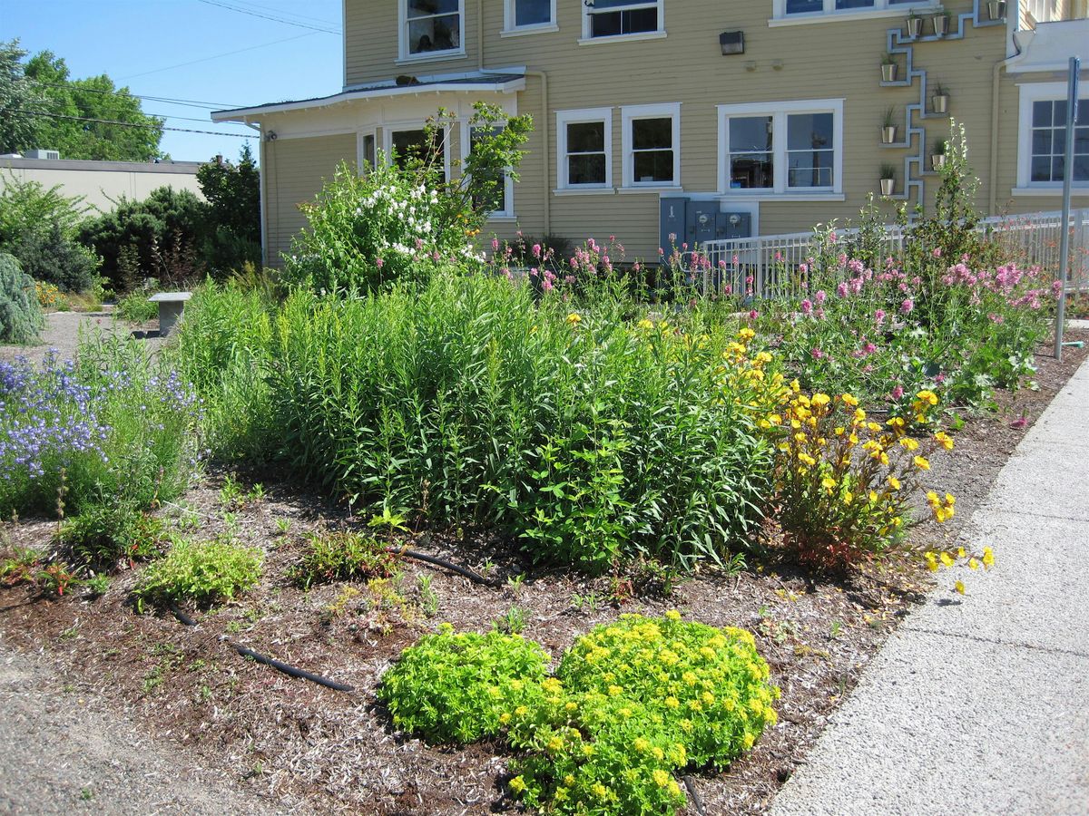 Landscaping for Wildlife