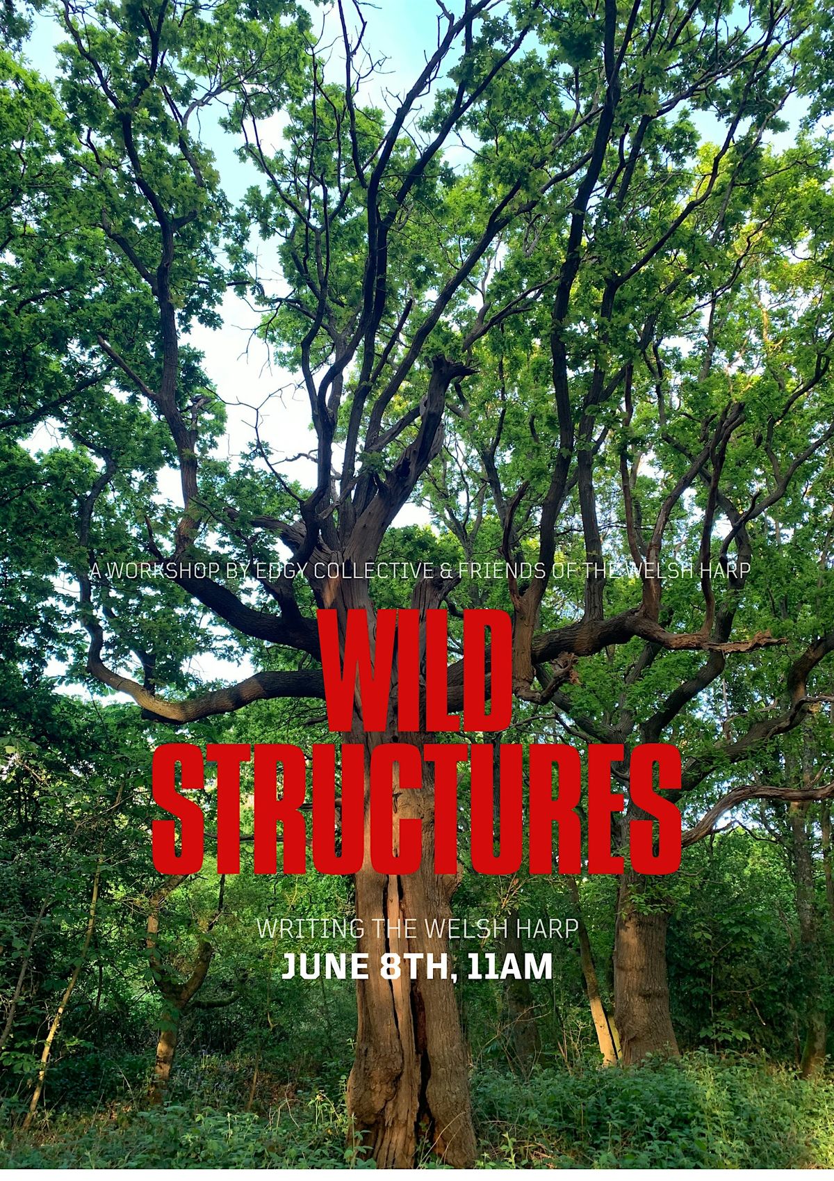 Wild Structures: Writing the Welsh Harp