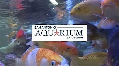 San Antonio Aquarium