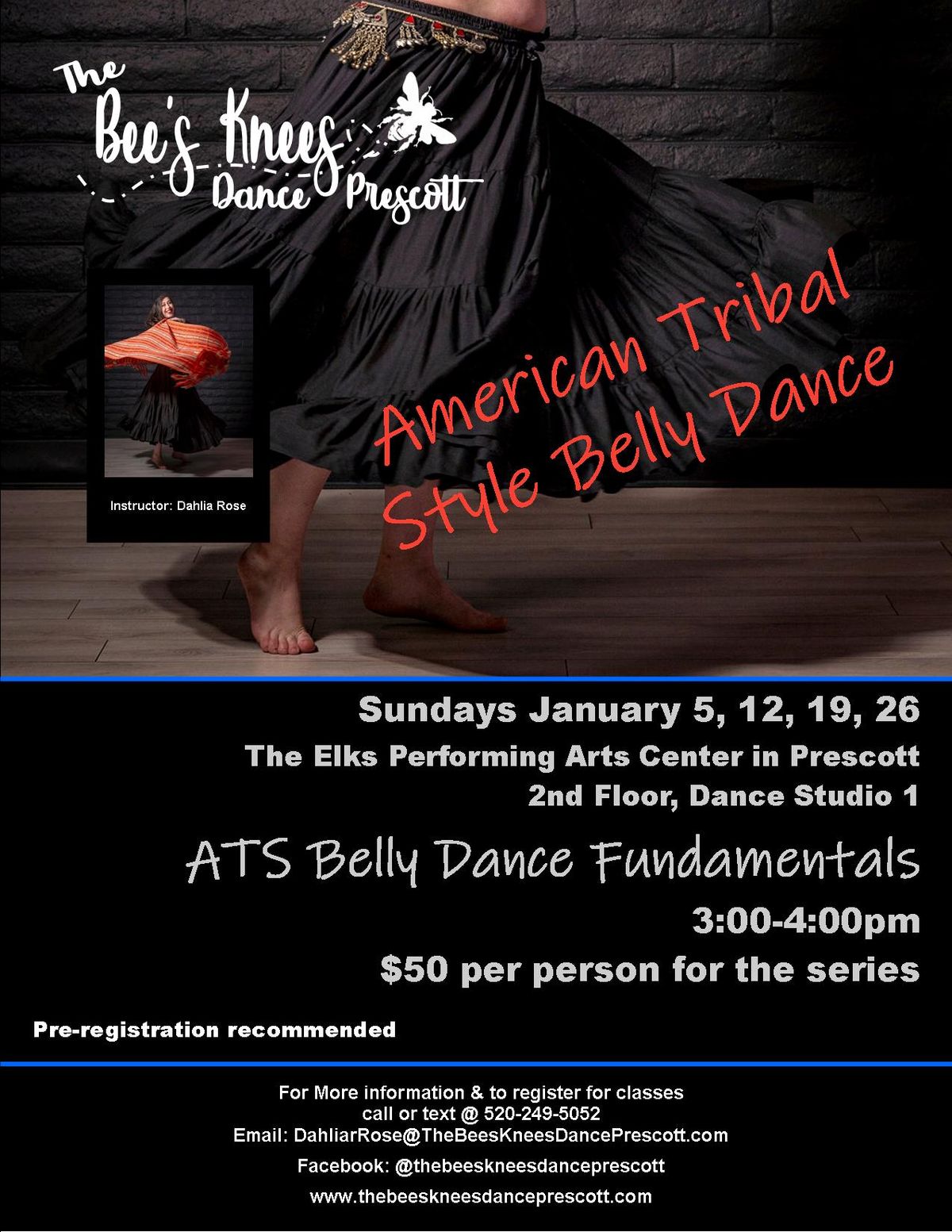 American Tribal Style Belly Dance Fundamentals