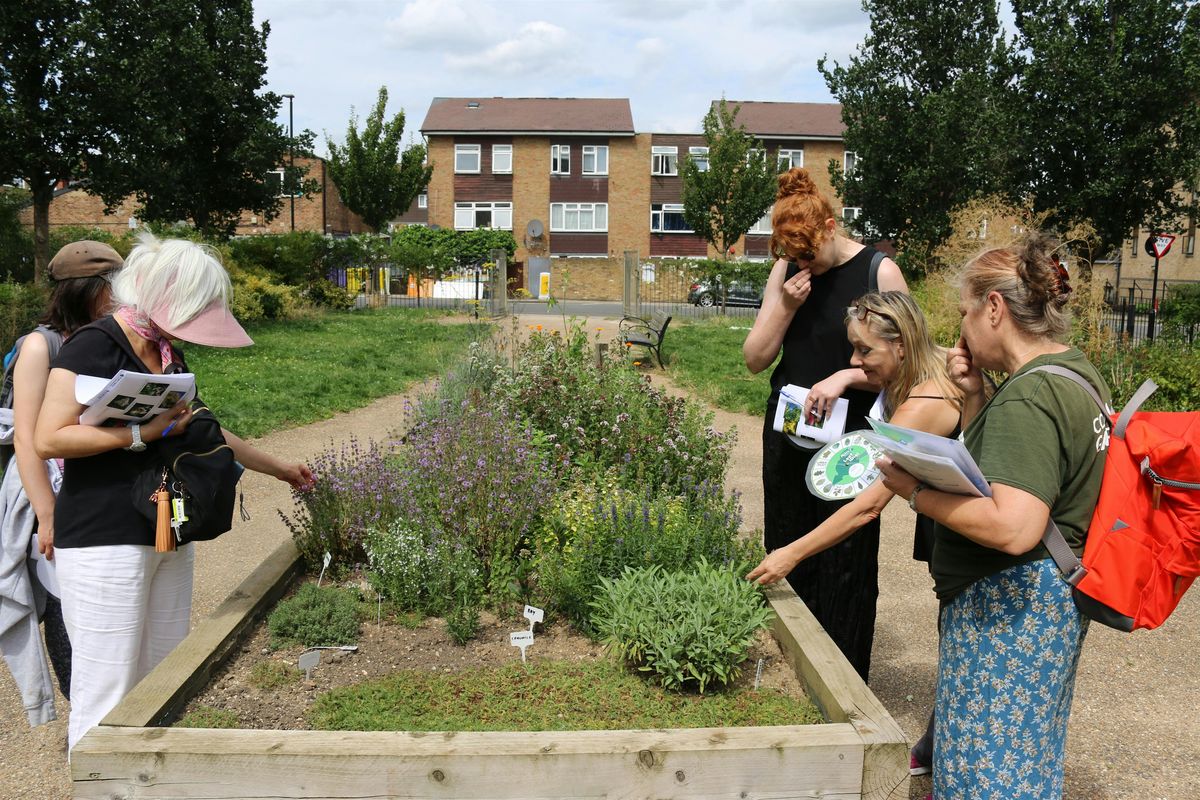 Running a gardening club through the gardening season