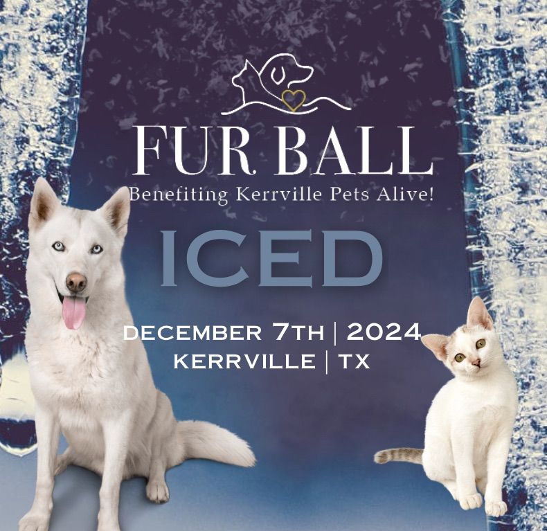 Fur Ball 2024