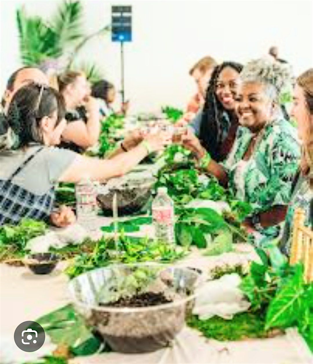 Plant and Sip with Stefanie's Supernatural