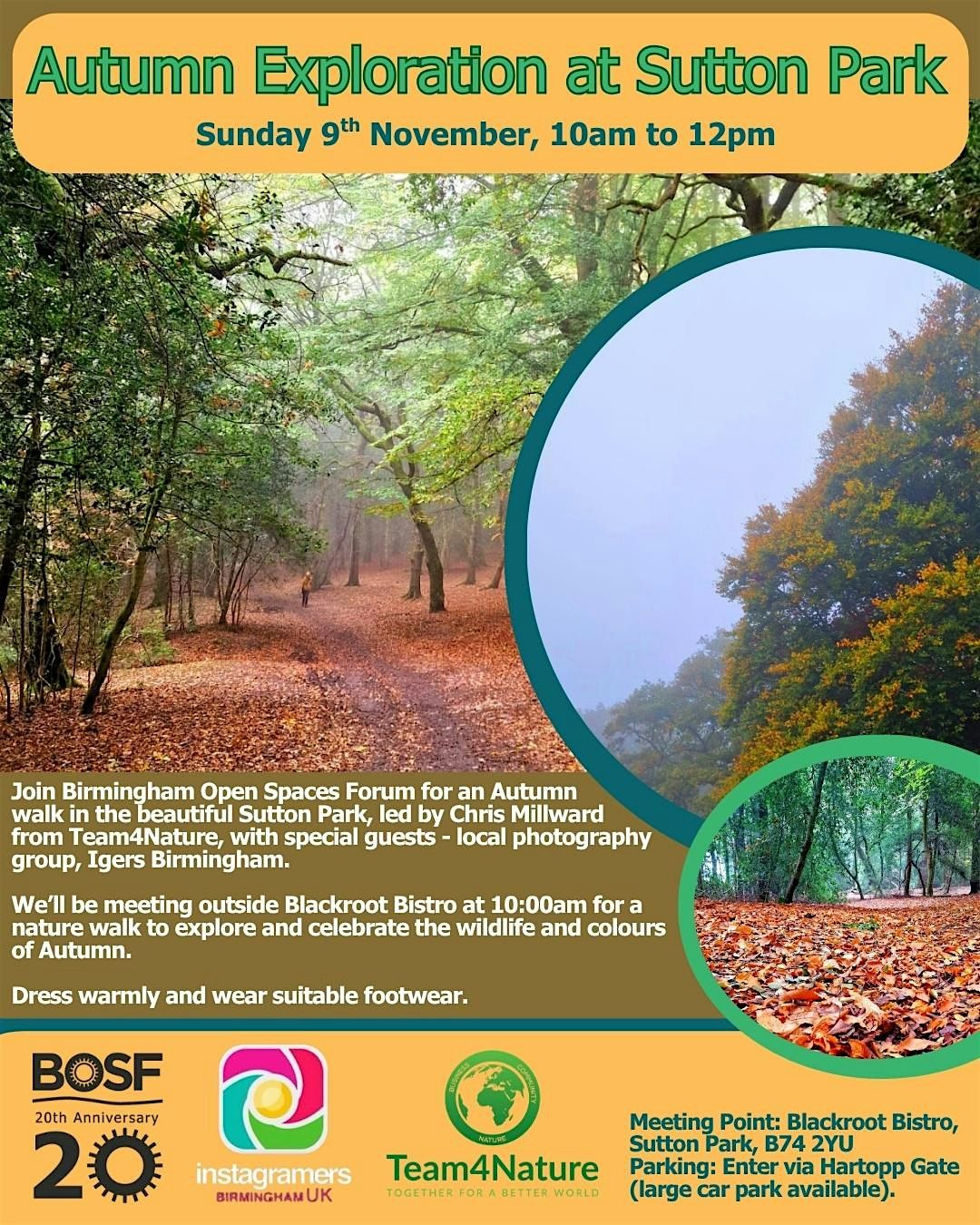 INSTAMEET SUTTON PARK