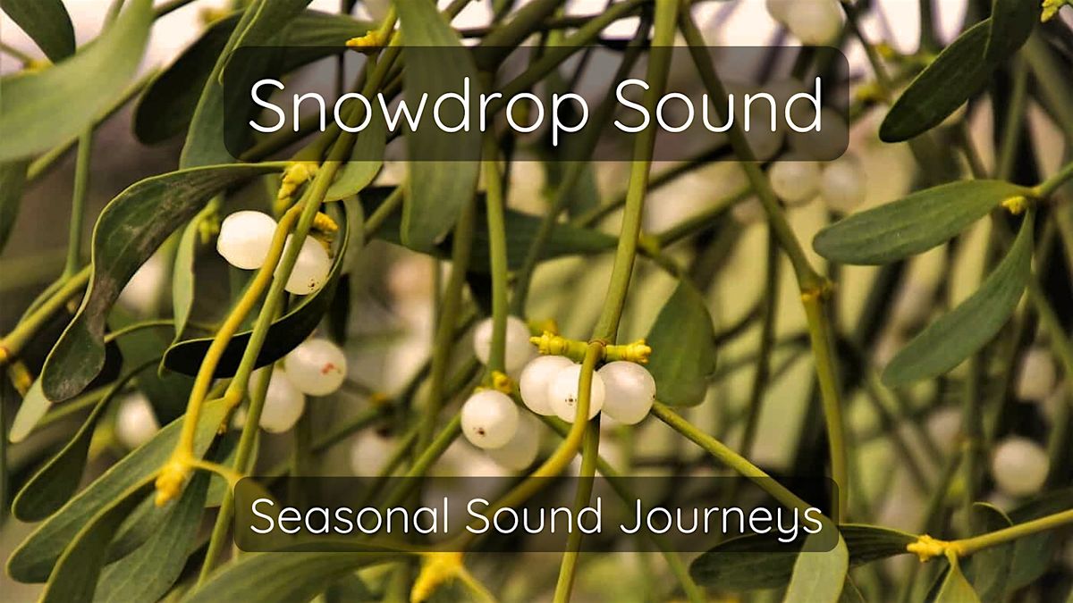 Snowdrop Sound Journeys: December: Harmony