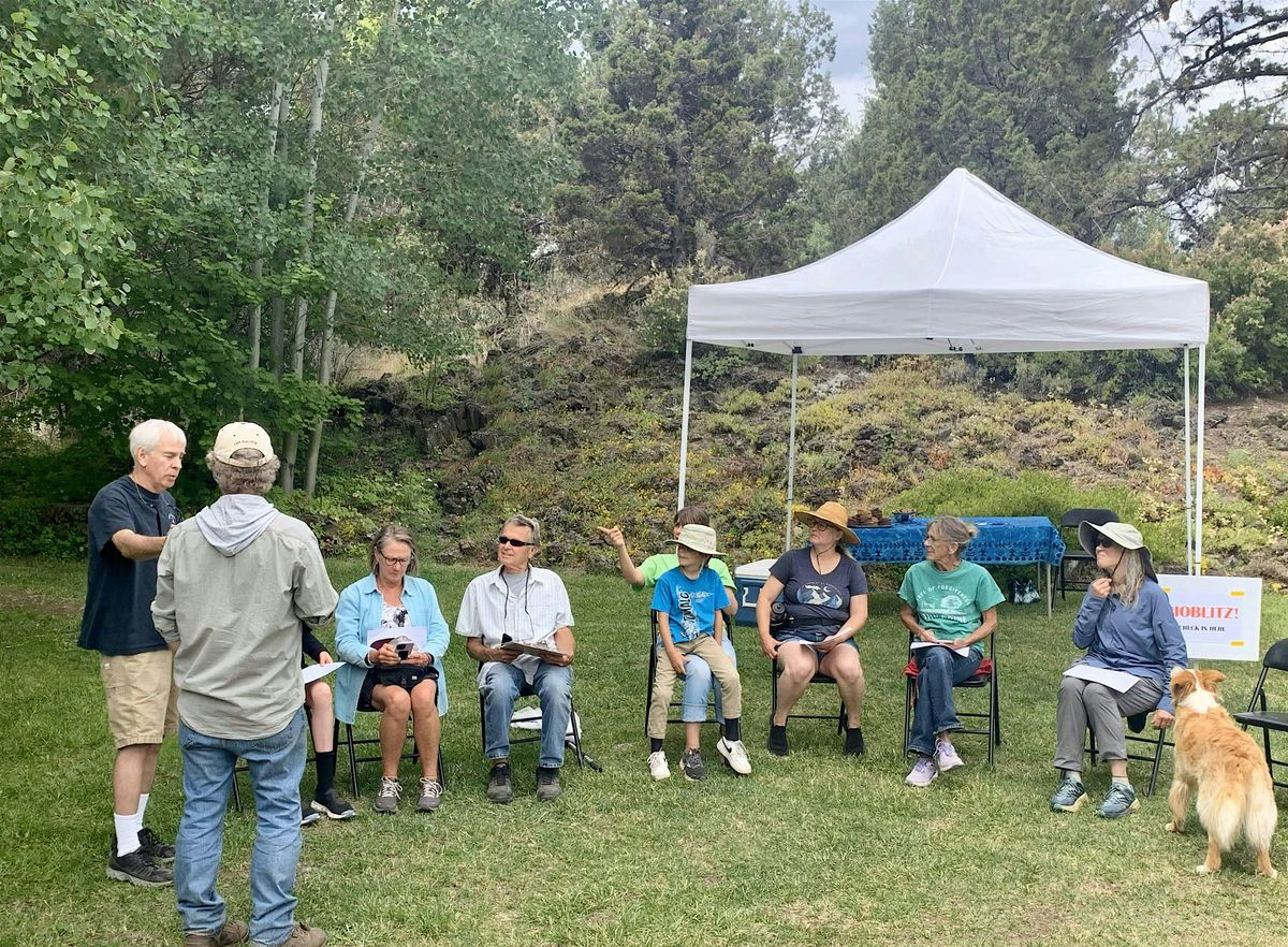 Plant Native Class Series:  Native Garden Maintenance