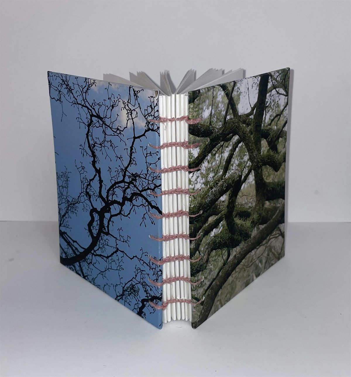 Creative Bookbinding Basics with Claudia Hermano