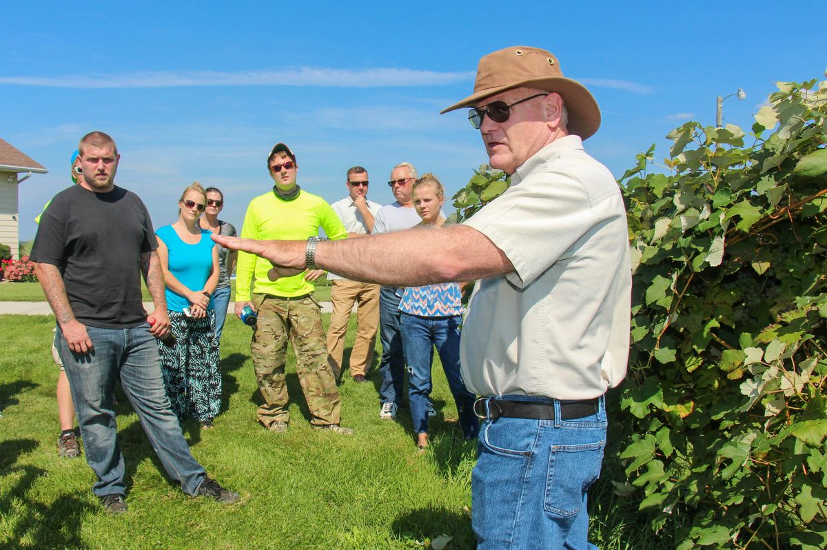 Grapevine Pruning Workshop