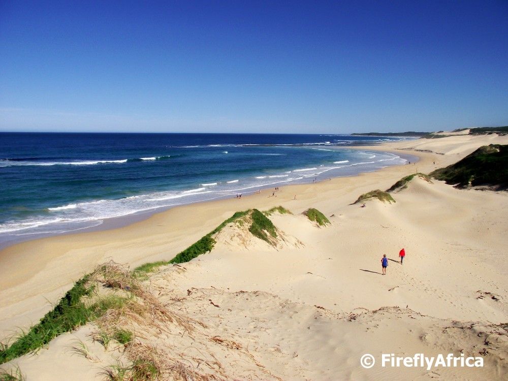 Sardinia Bay - Beach Cleanup 