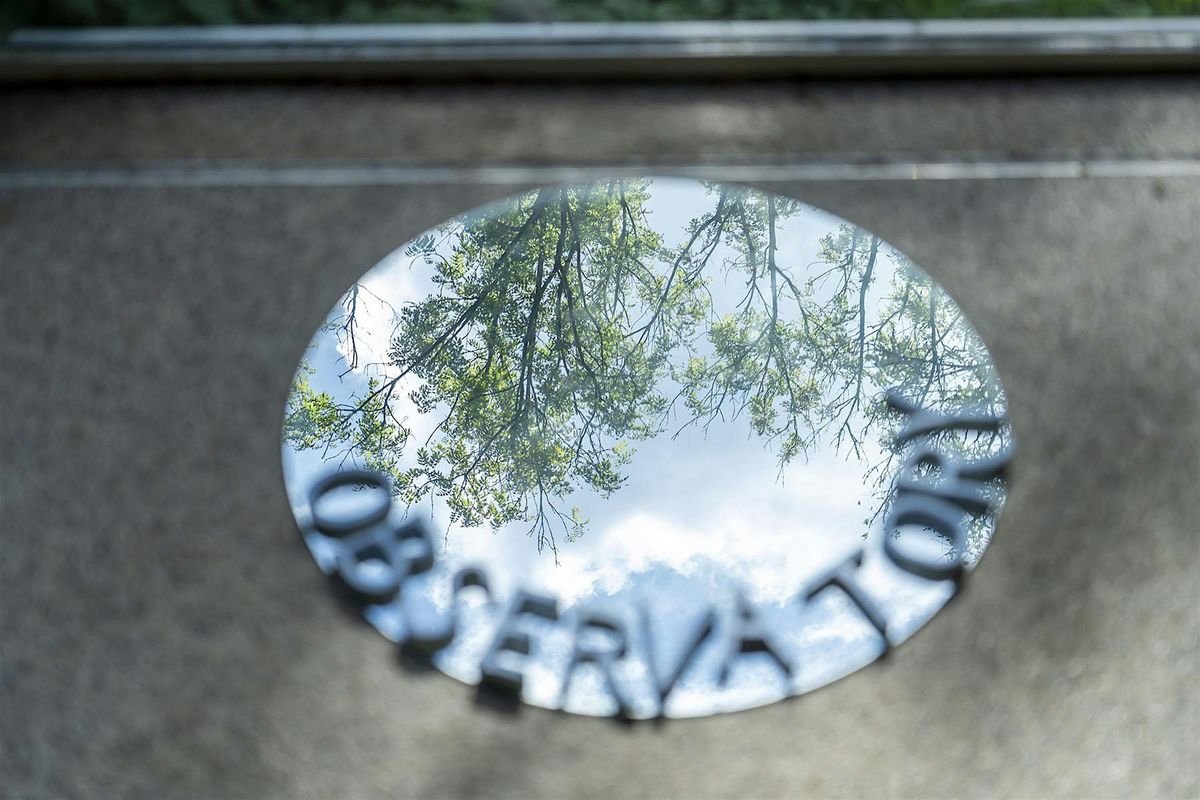 Taking the Overview, Underview & Longview in the Garden