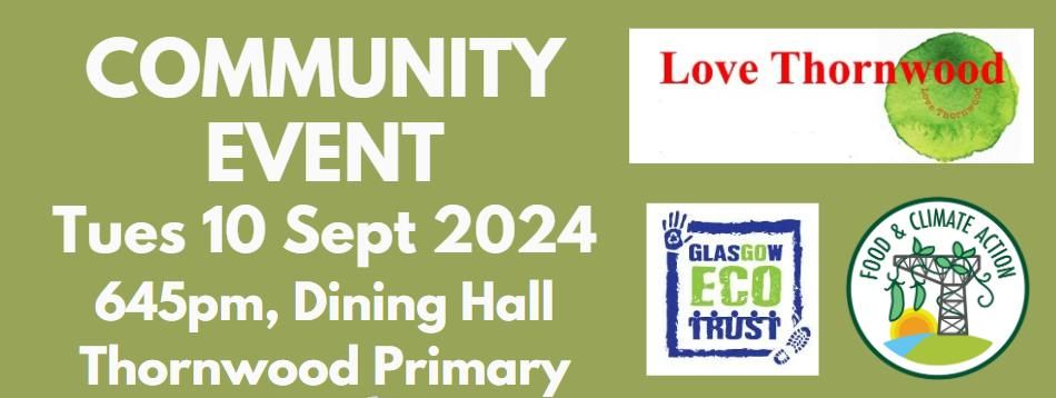 Thornwood Primary pitches community event