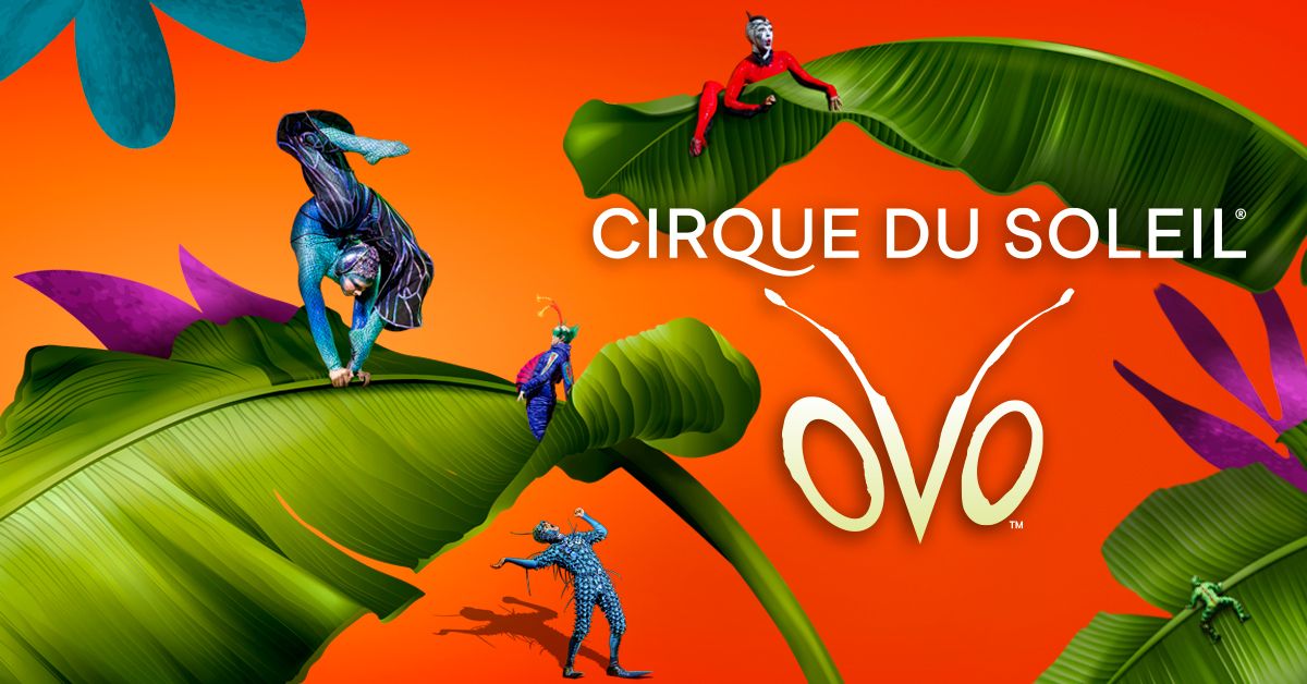 Cirque du Soleil OVO