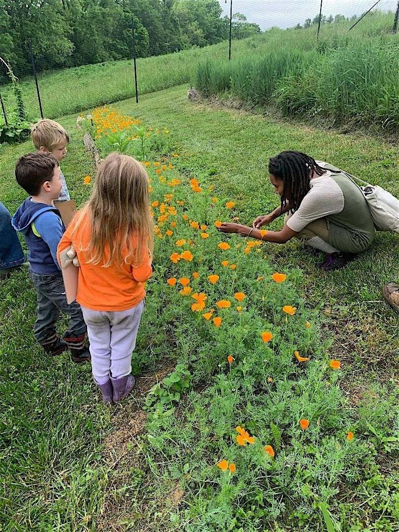 Junior Herbalist Mini Series [Ages 3-6]