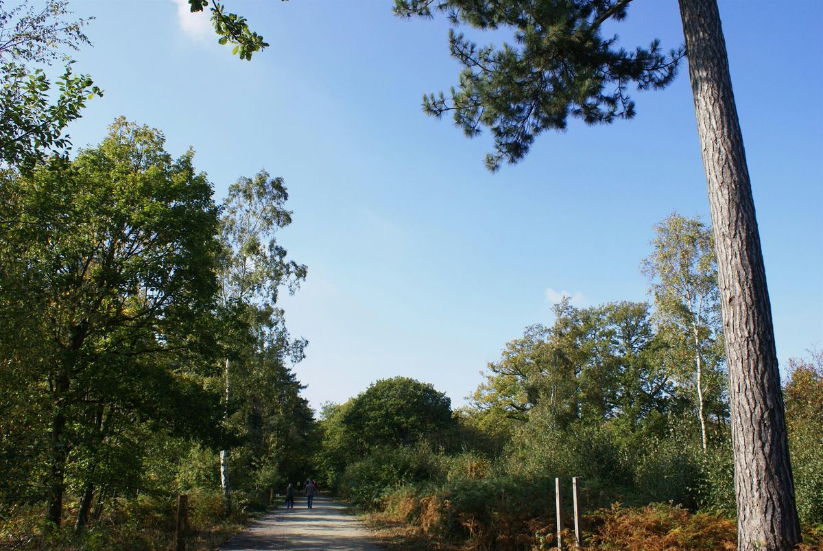 Blean Community Advisory Group  Autumn Meeting