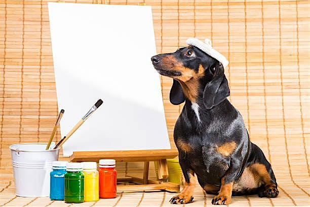 Paint your Pet!