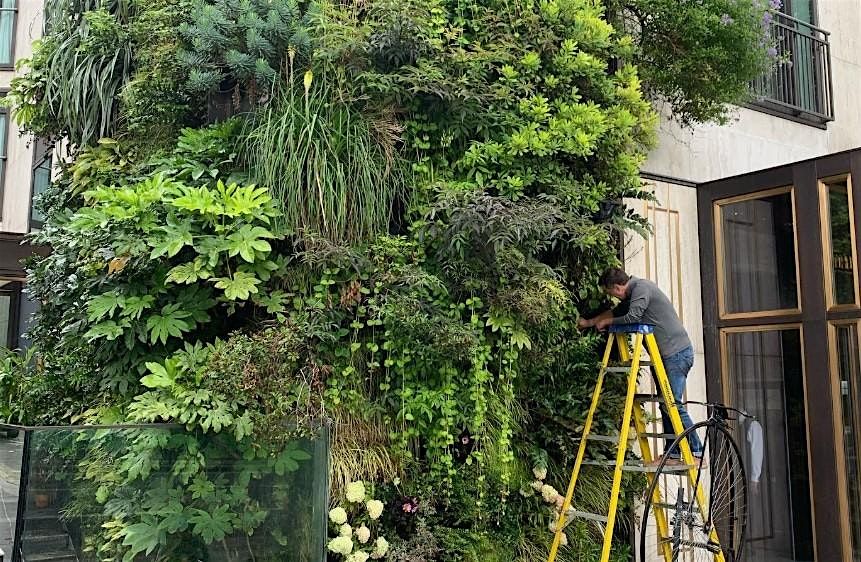 Business Breakfast: Build a Vertical Garden on Fleet Street