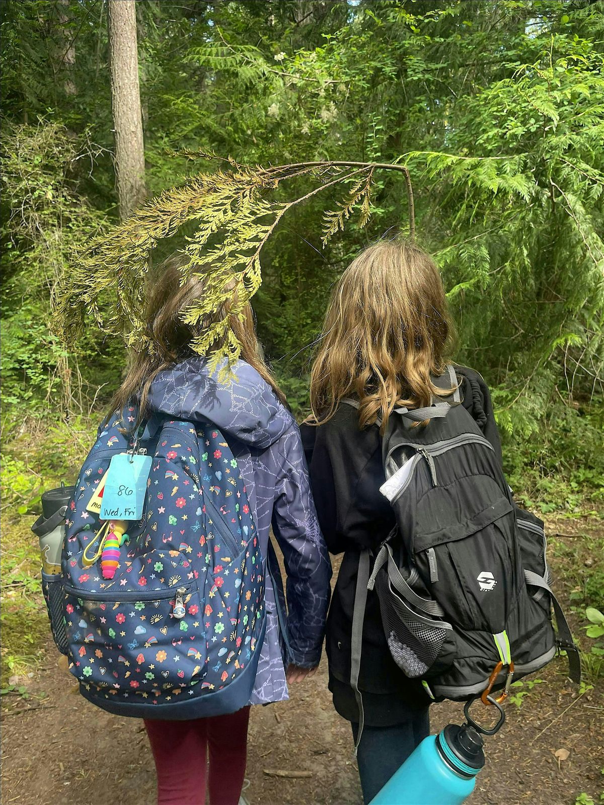 Young Explorer's Camp