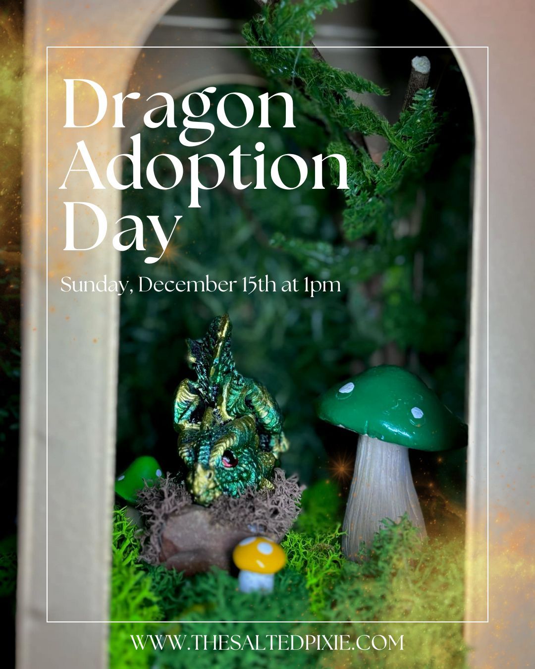 Dragon Adoption Day