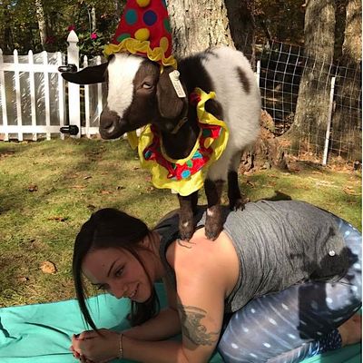 Goats To Go