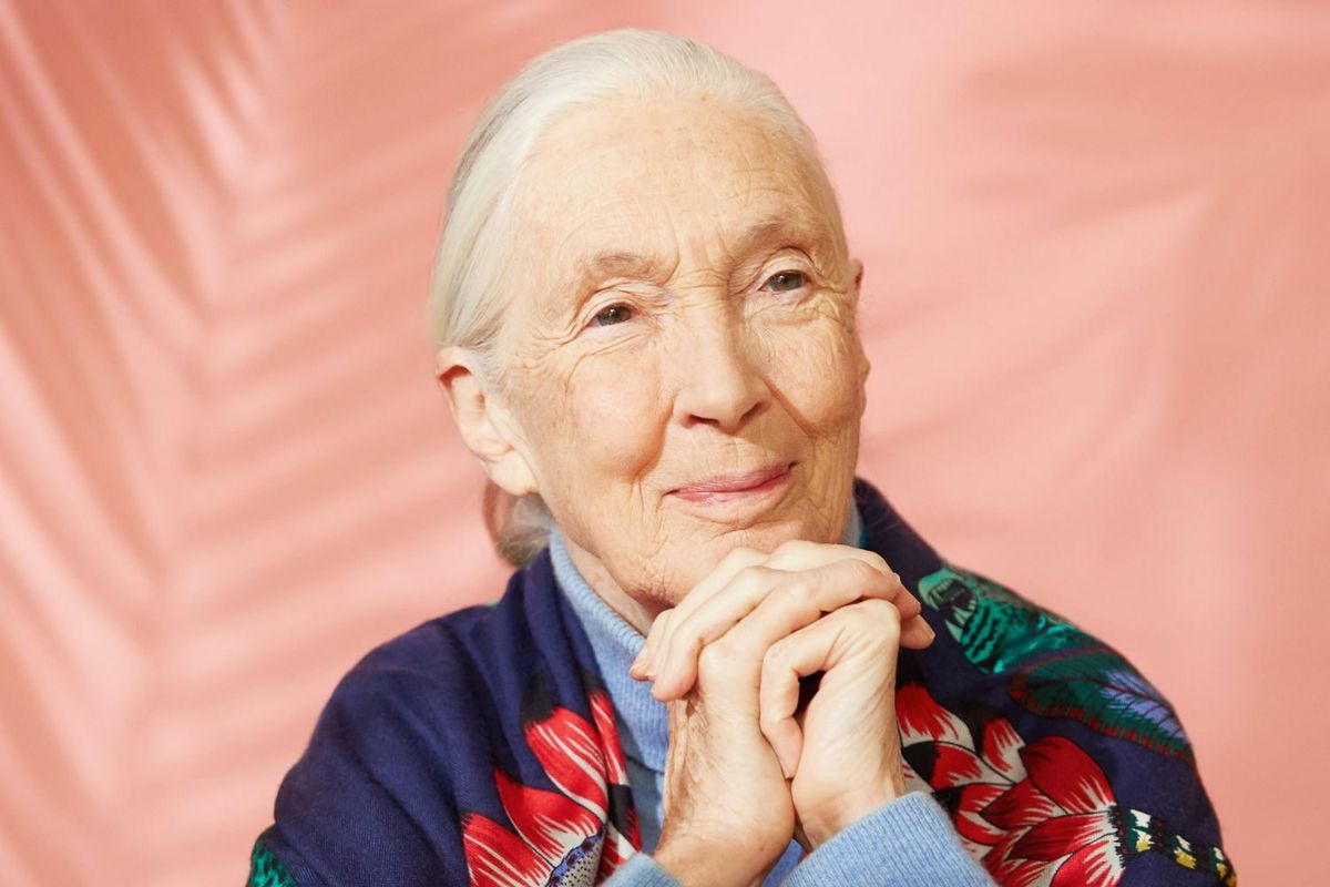 Jane Goodall - Toronto