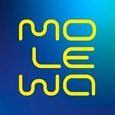 MoLeWa - Mobilit\u00e4t Leipzig im Wandel