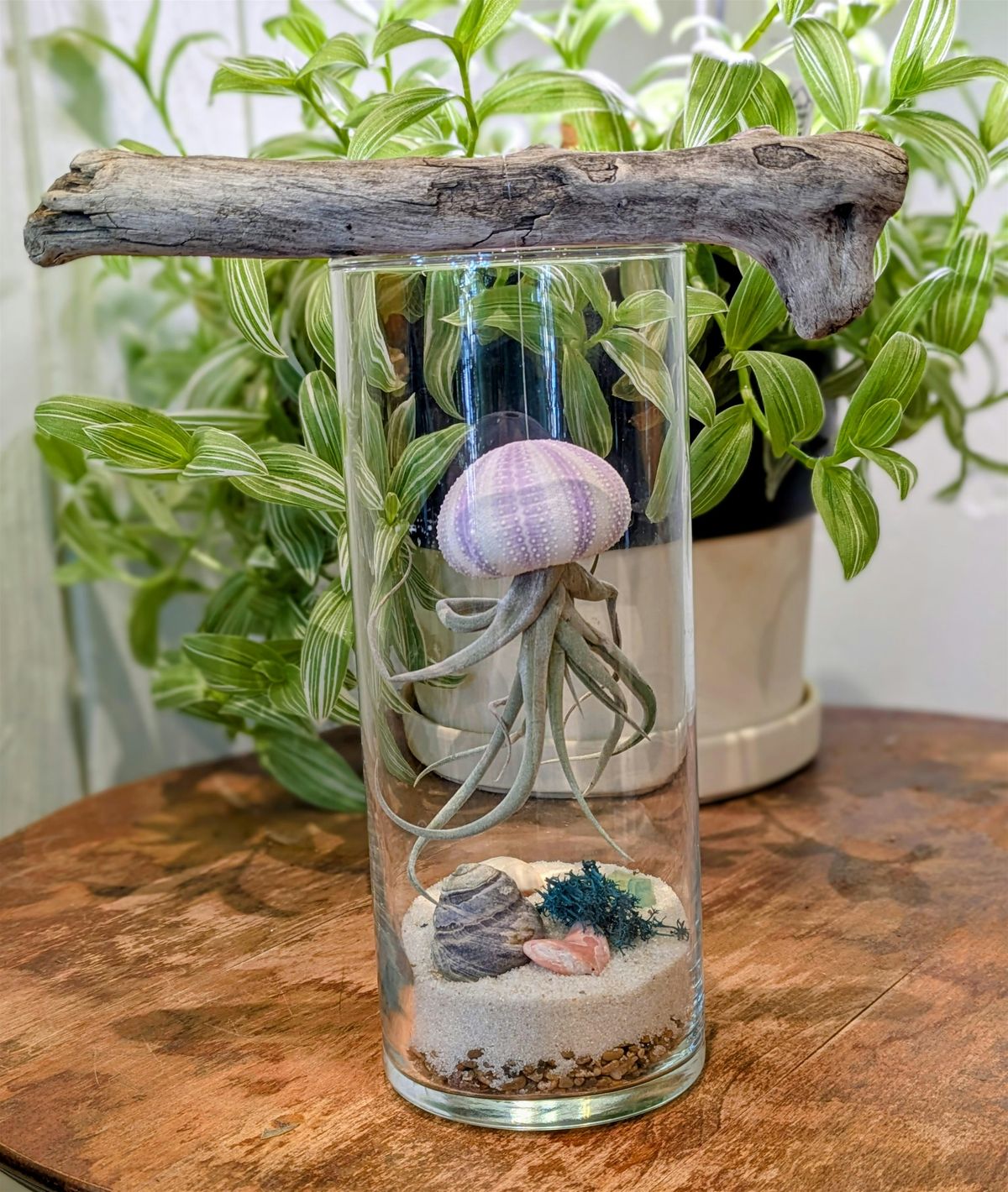Terrarium Seascape Workshop with Verdant Plants