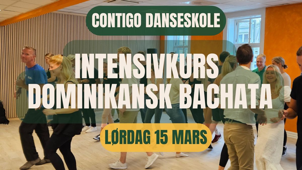 Dominikansk Bachata - Intensivkurs for nybegynnere!