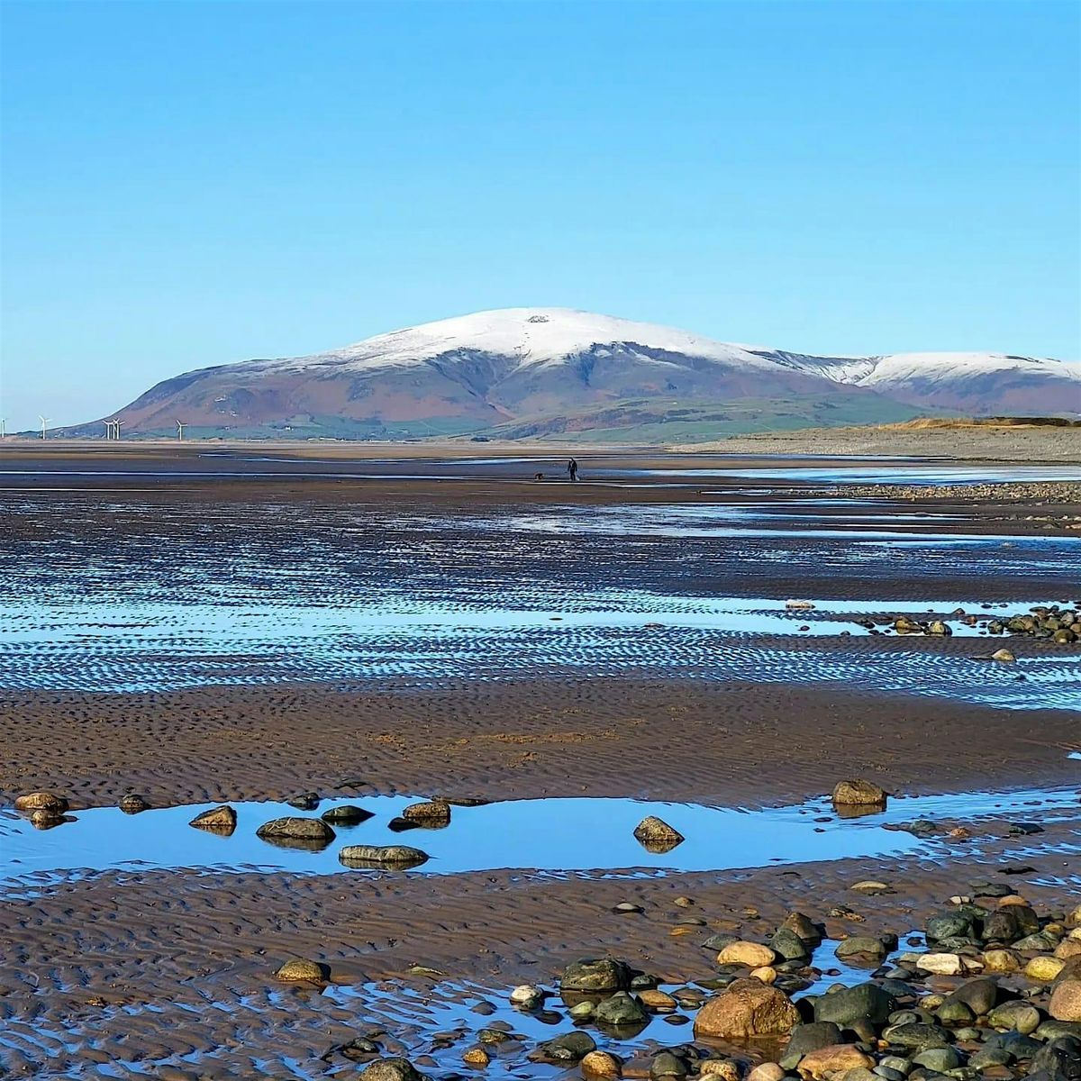 New Year's Beach Clean