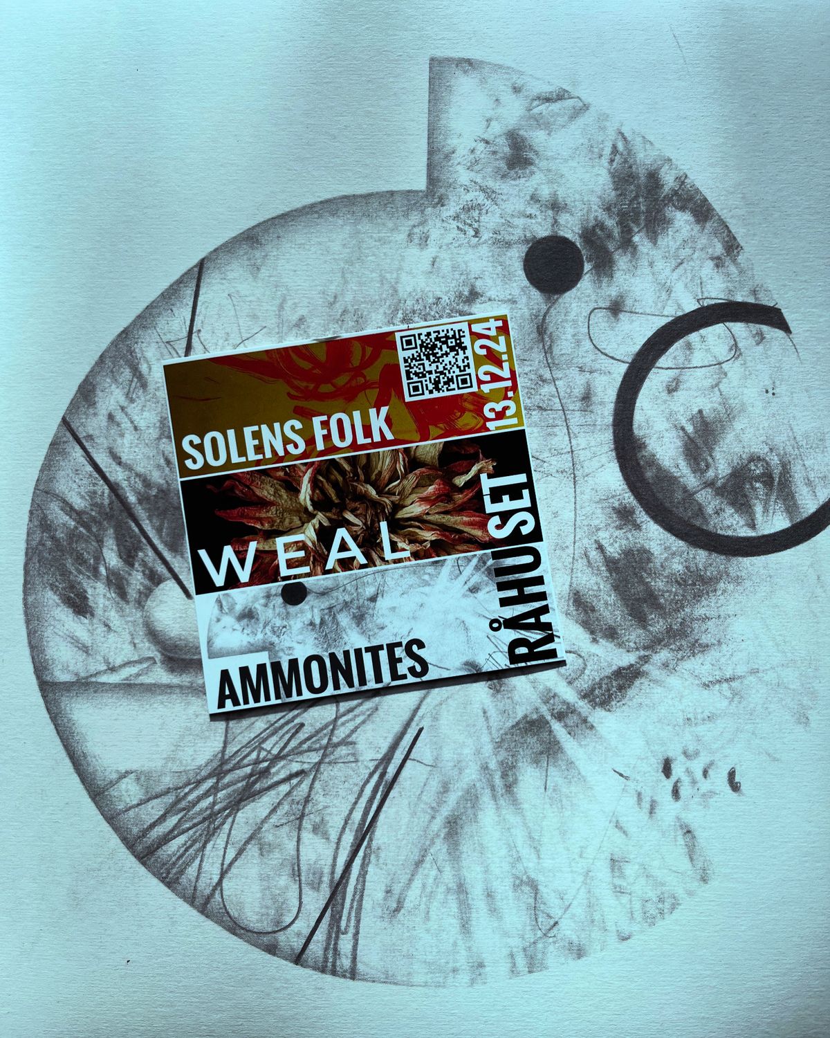 Ammonites, Weal og Solens Folk p\u00e5 R\u00e5huset 13\/12