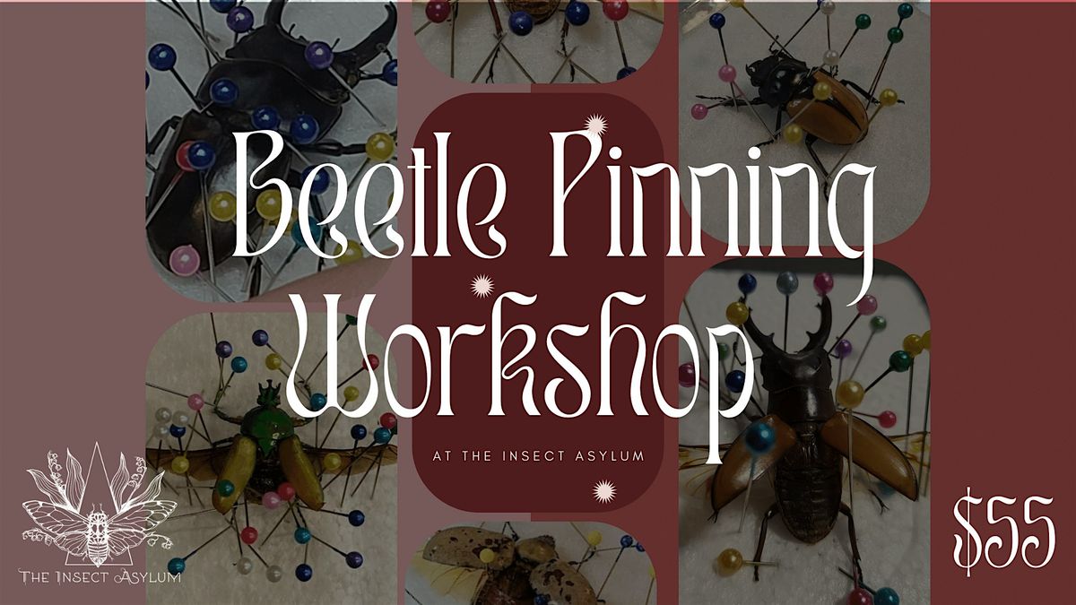 Beetle Pinning Workshop