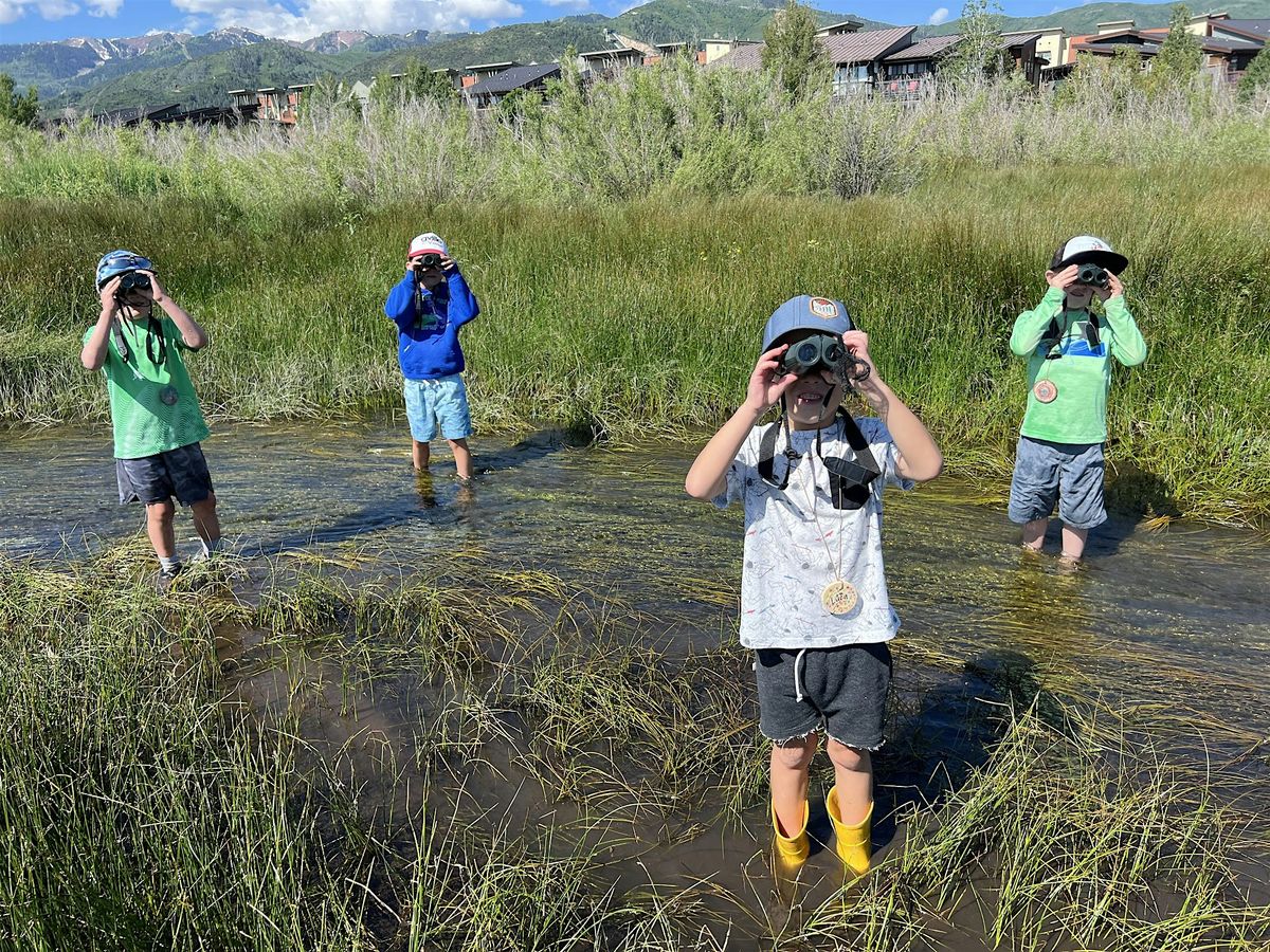 EKO Observe Wildlife Event