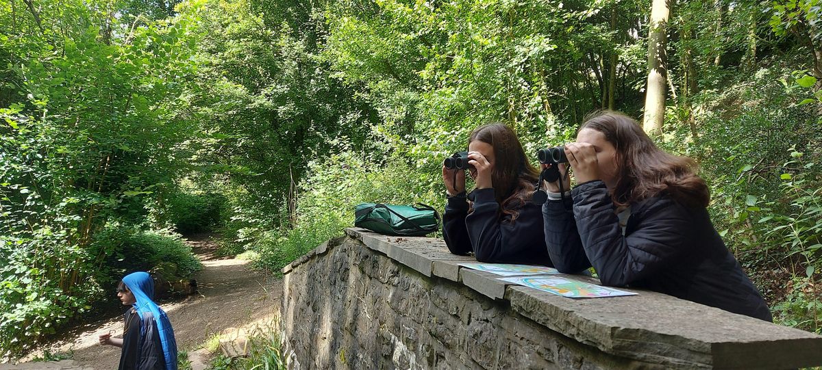 Ditectifs Bywyd Gwyllt Caerdydd  \/ Cardiff Wildlife Detectives