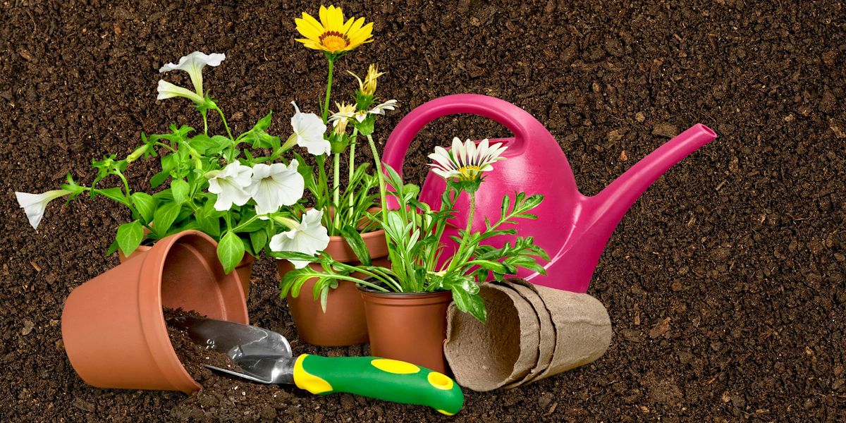 Weeding and Watering: Ages 12+, Free Volunteer Event