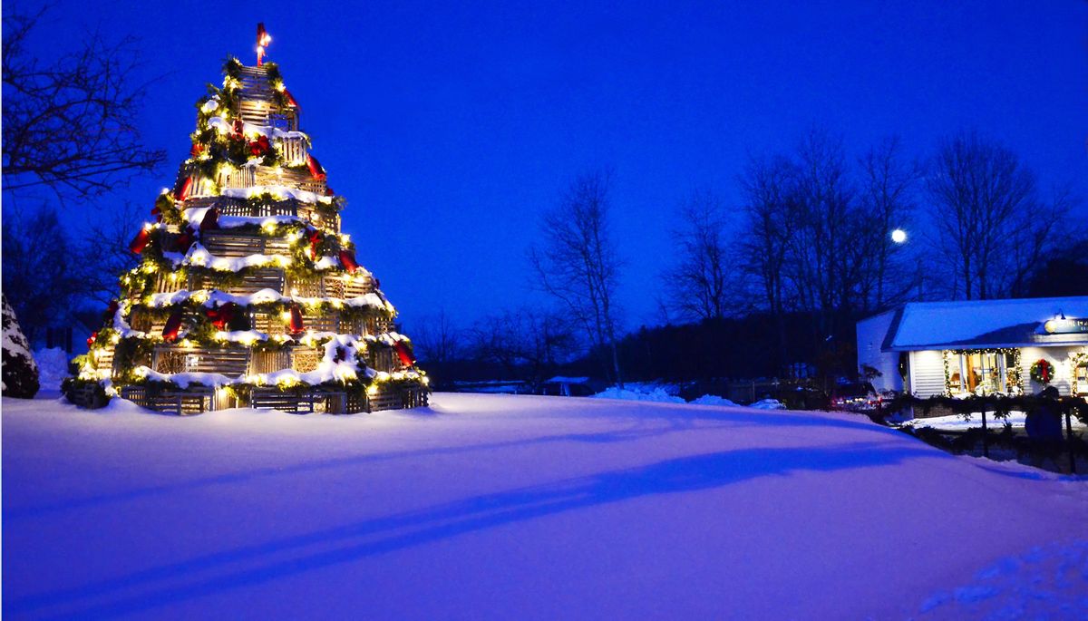 Cape Porpoise Lobster Trap Tree Lighting