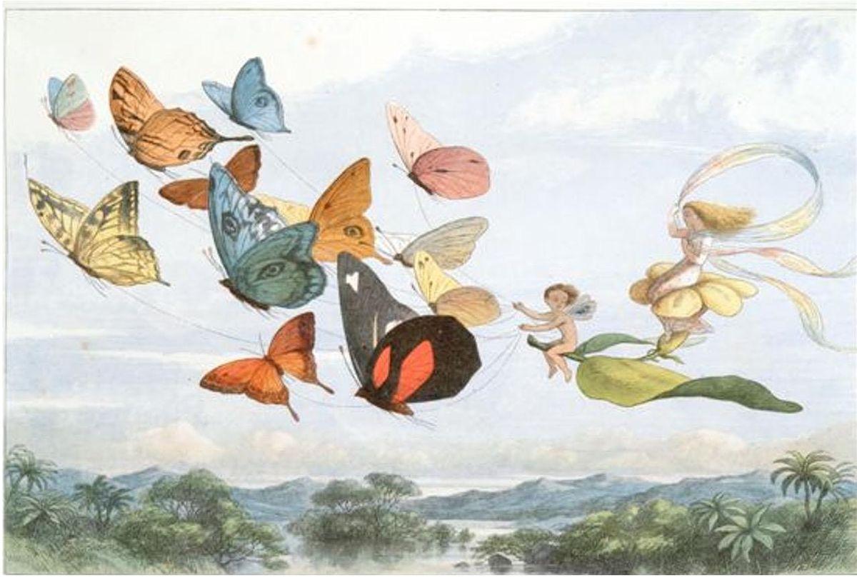 The Pollard Collection of Children\u2019s Books: A Symposium