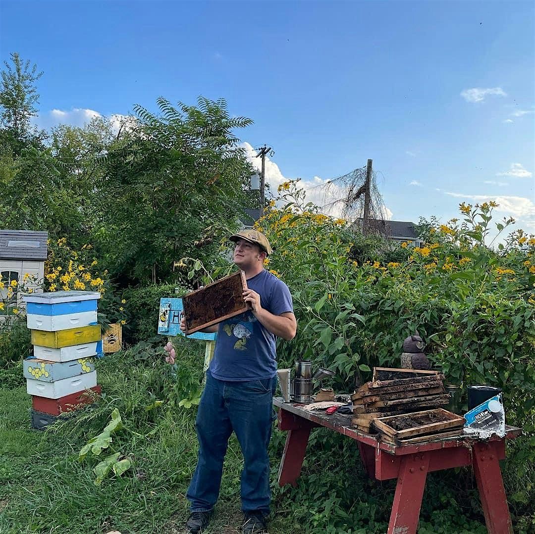 Introduction to Beekeeping in Baltimore