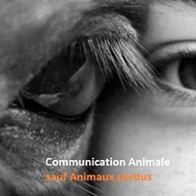 Communication Animale Lucile Devlaeminck