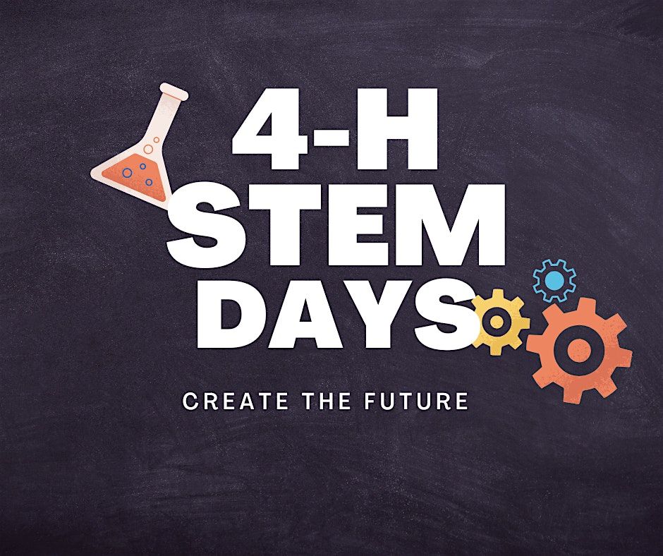 4-H STEM\/STEAM Program