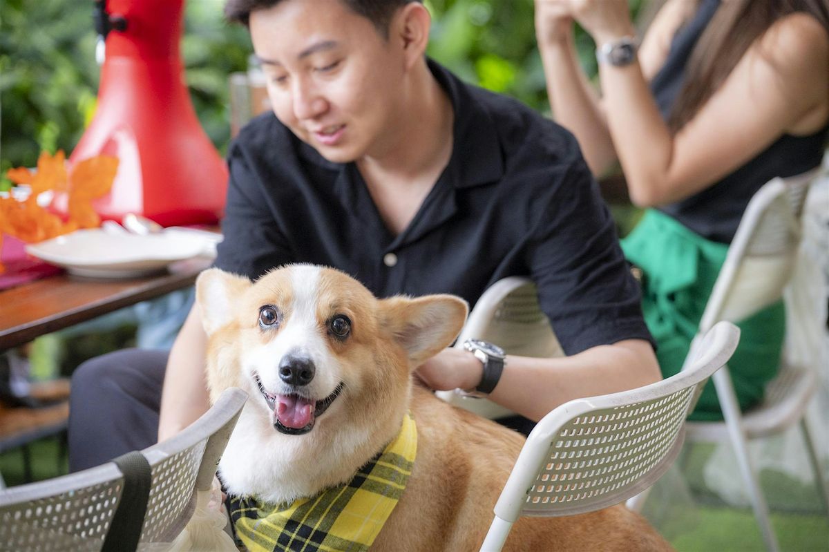 Paws & Provisions: A Dog Nutrition Workshop @ Reddot Brewhouse