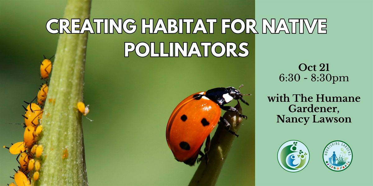 Creating Habitat for Native Pollinators